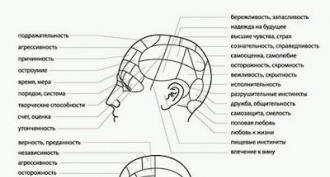 Что можно узнать о человеке по форме головы