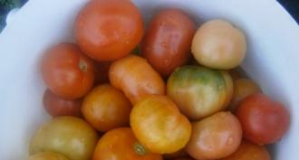 Салат огурцы помидоры на зиму рецепты для дома