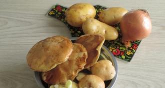 Kulebyaka de viande aux champignons et pommes de terre